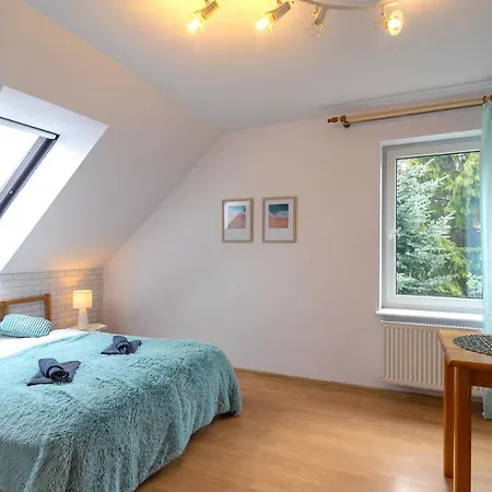 Homestay White
